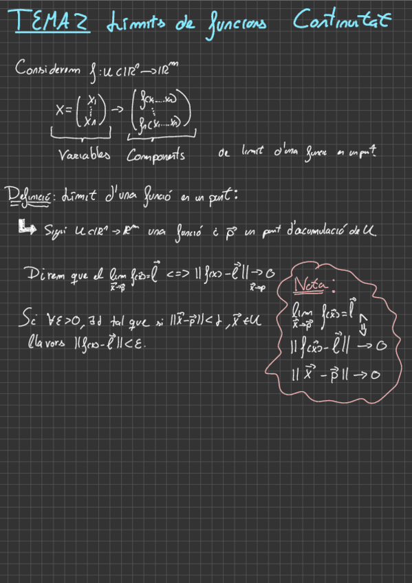 Miniatura del documento Tema-2-Limites-Cavec.pdf