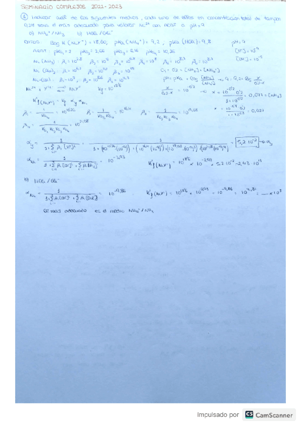 Miniatura del documento SEMINARIO-COMPLEJOS-22-23.pdf