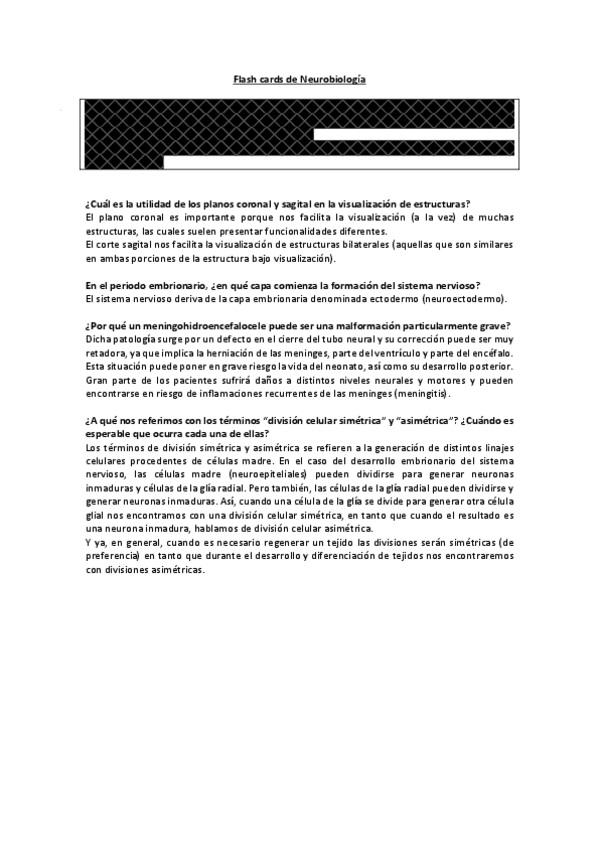 Miniatura del documento Flash cards de Neurobiología.pdf