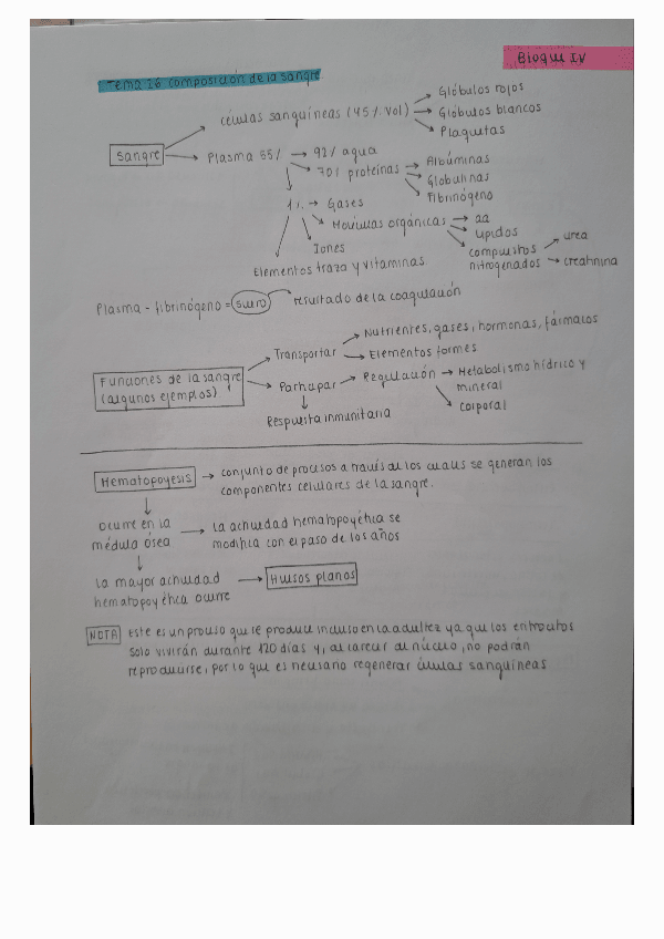 Miniatura del documento Esquemas-resumidos-Bloque-IV.pdf