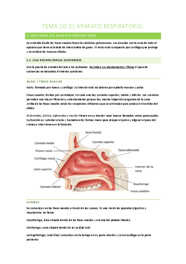 Miniatura del documento TEMA-10.pdf