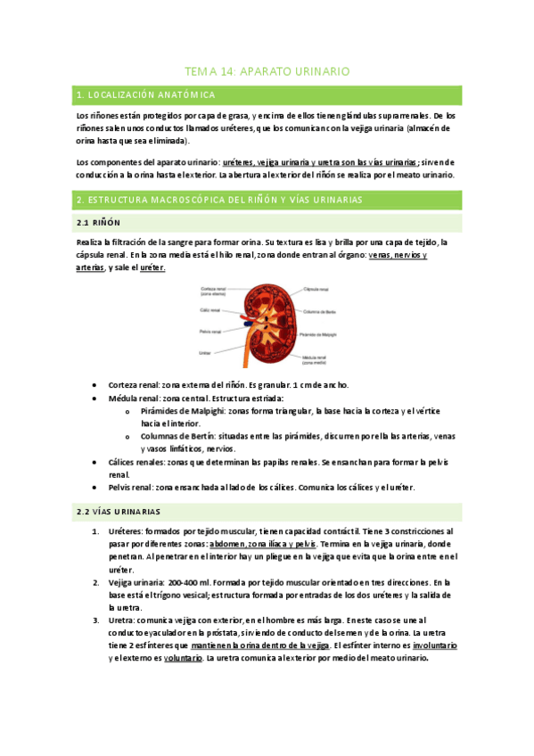 Miniatura del documento TEMA-14.pdf