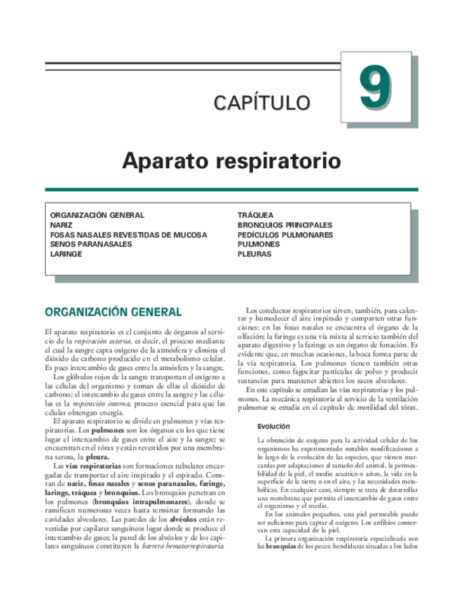 Miniatura del documento Anatomia.Humana.Garcia.Porrero-capitulo9.pdf