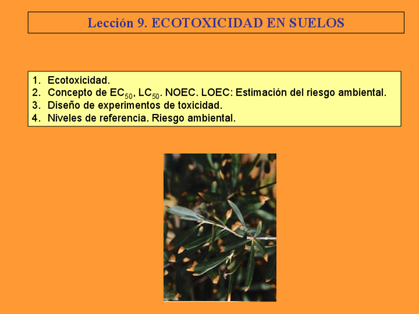 Miniatura del documento Leccion-9.-Ecotoxicidad.pdf