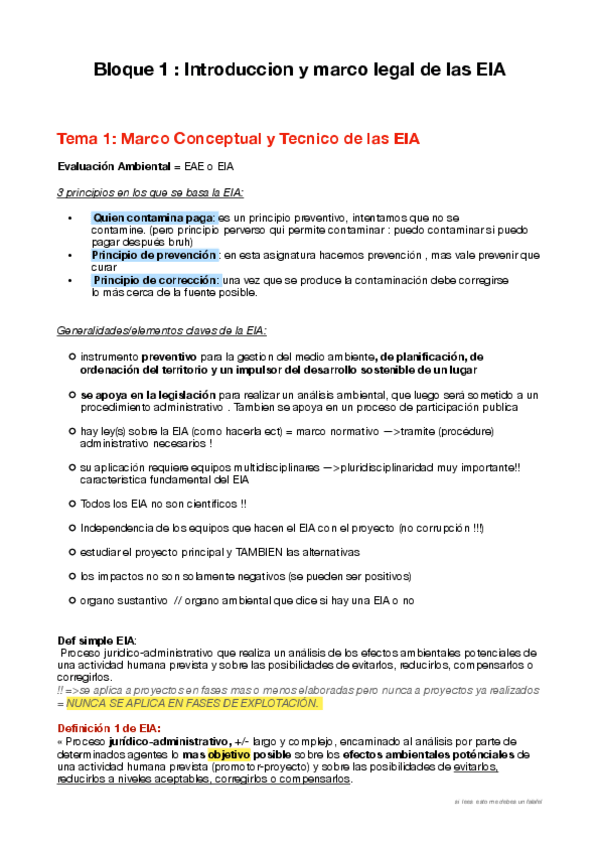 Miniatura del documento EIA.pdf