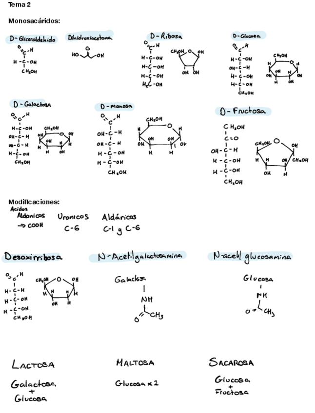 Miniatura del documento Plantilla-imprescindibles.pdf