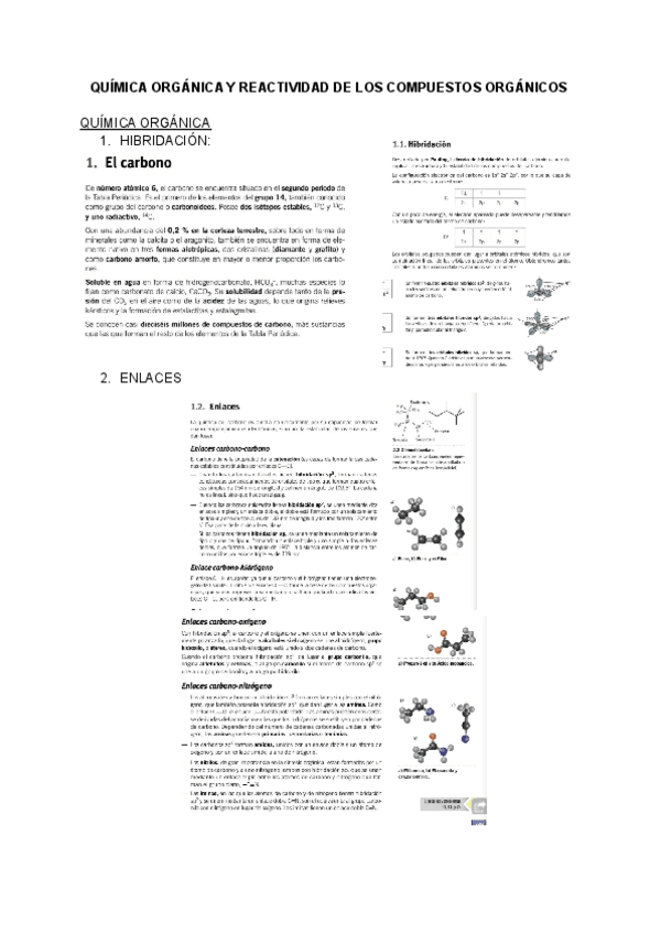 Miniatura del documento QUIMICA-ORGANICA.docx.pdf