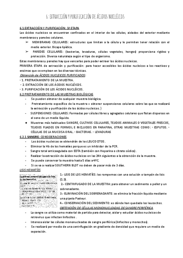 Miniatura del documento tema-6-T3-libro-BMC.pdf