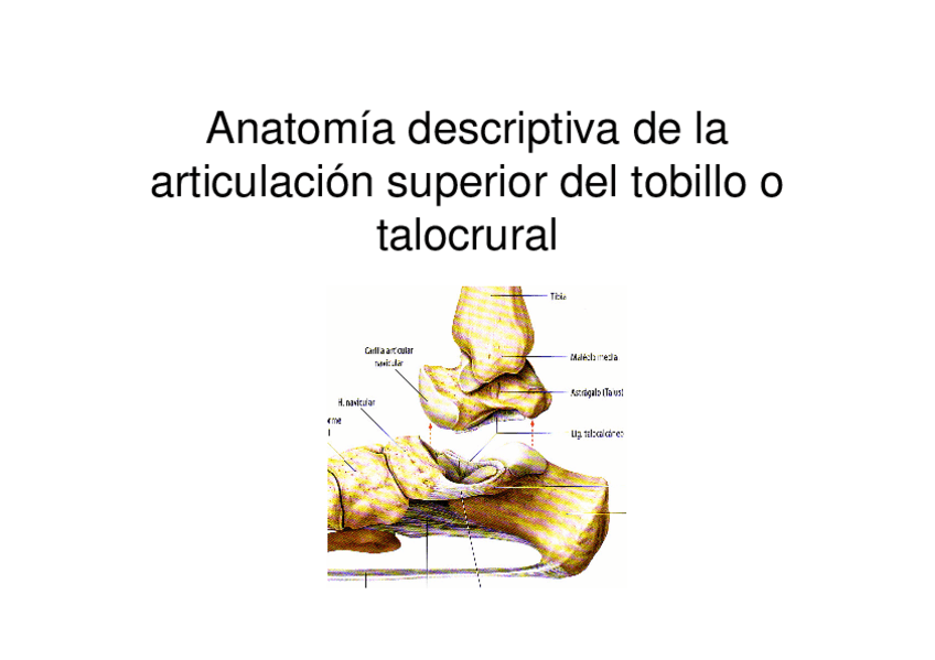 Miniatura del documento 3.-Boque-2-temas-9-y-10.pdf