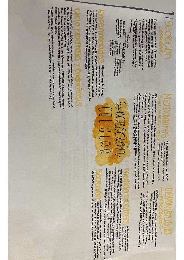 Miniatura del documento Secrecion-Celular.pdf