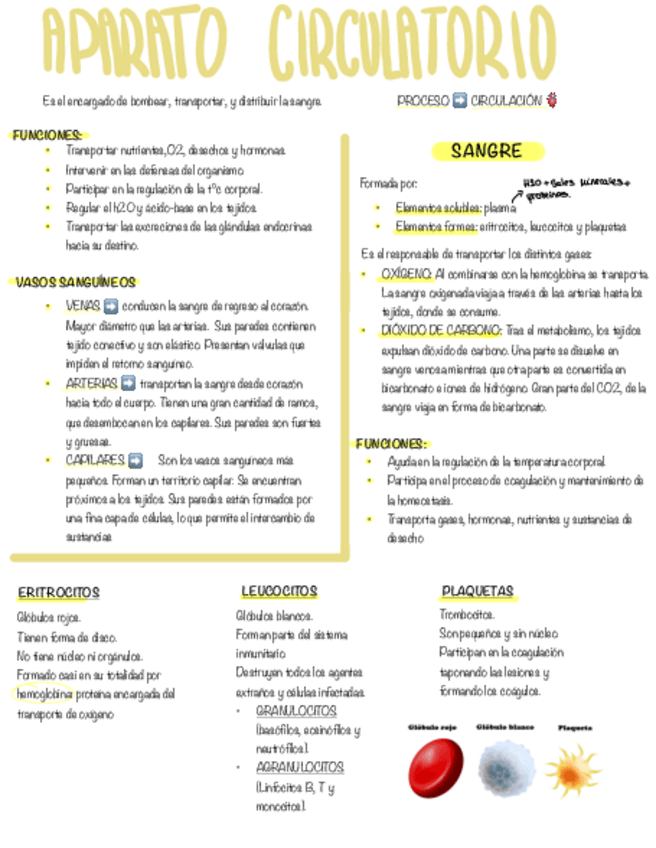 Miniatura del documento Fisio-T10.pdf