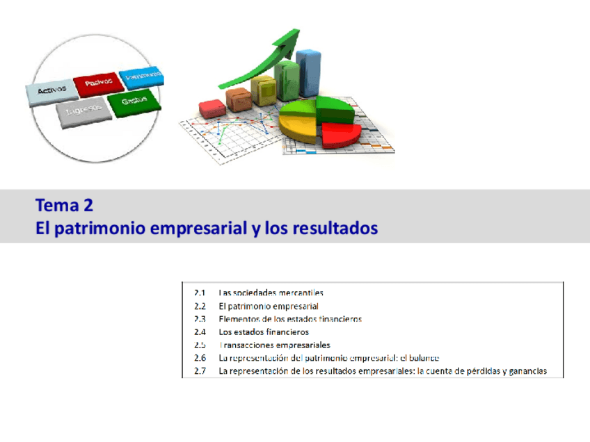 Miniatura del documento TEMA-2-El-patrimonio-empresarial-y-los-resultados.pdf
