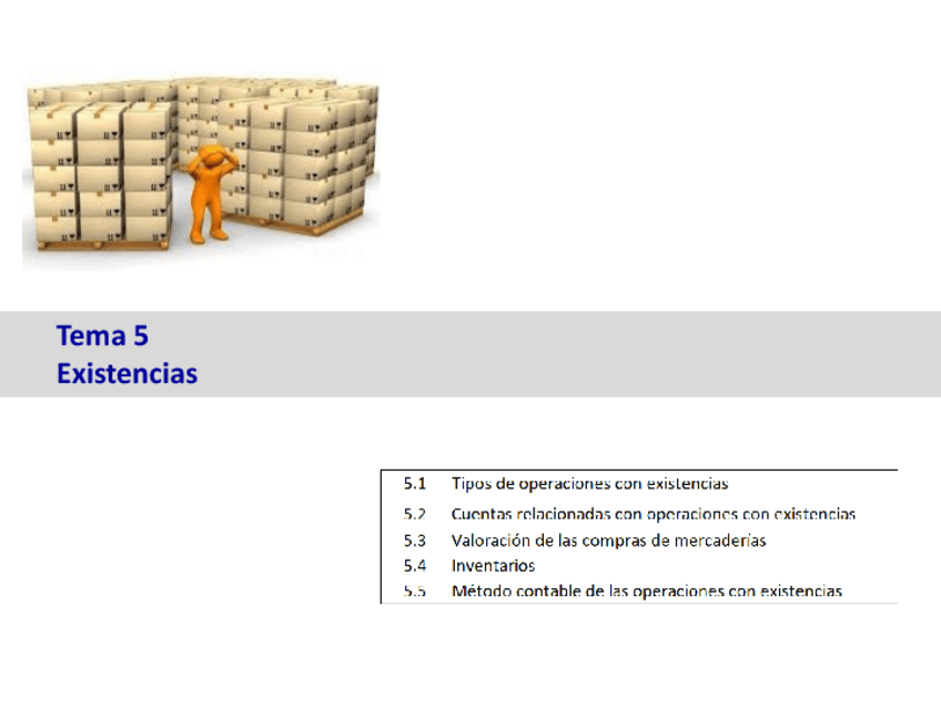Miniatura del documento TEMA-5-Existencias.pdf