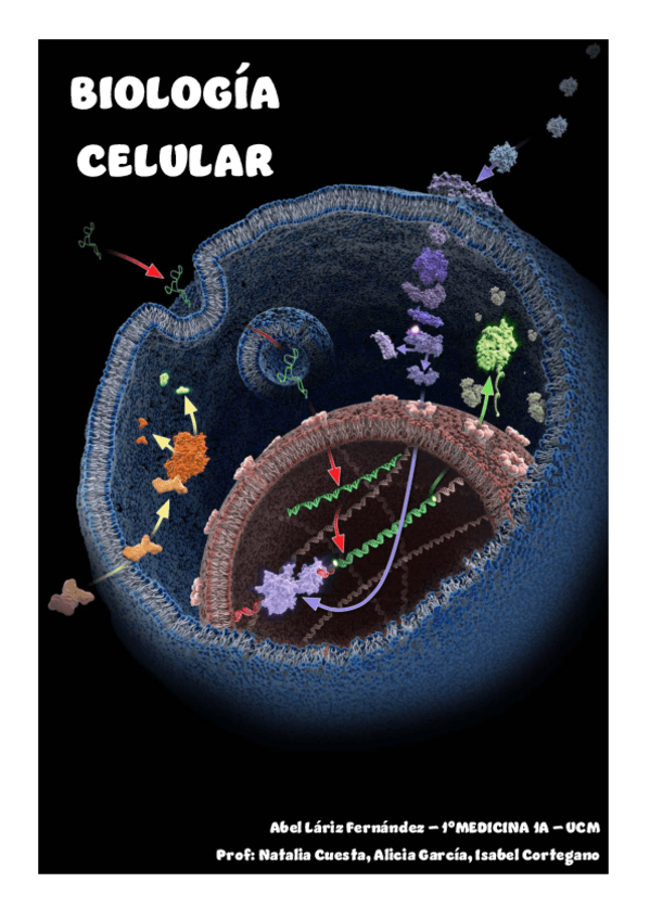 Miniatura del documento Temario-BIOLOGIA-CELULAR.pdf