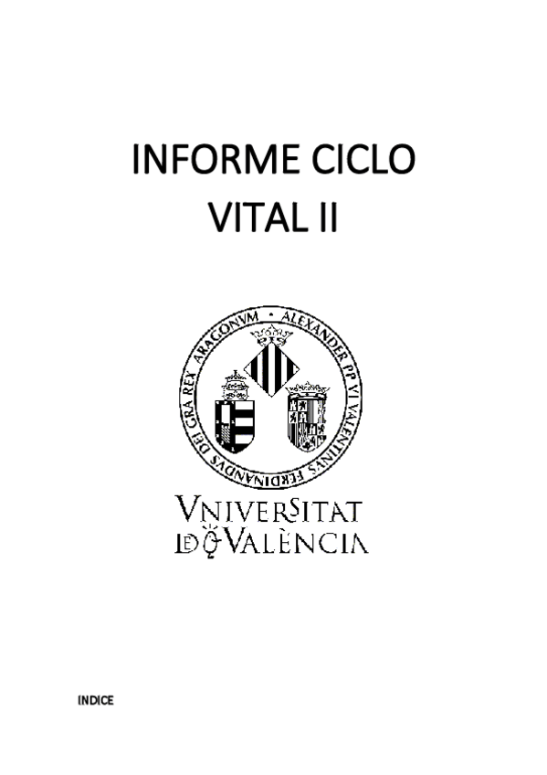 Miniatura del documento Informe-ciclo-vital-2.pdf