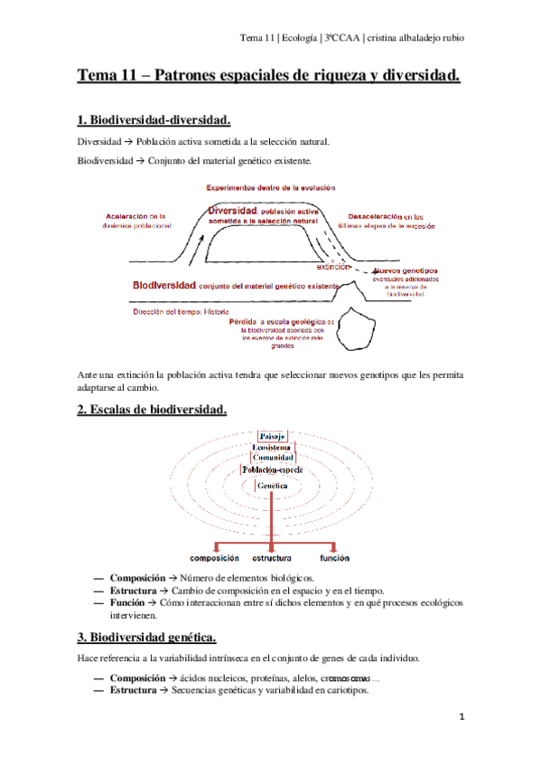 Miniatura del documento Tema-11.pdf