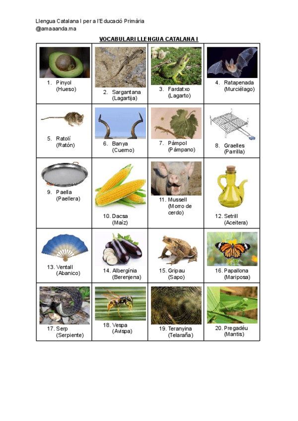 Miniatura del documento vocabulari-solucionari.pdf