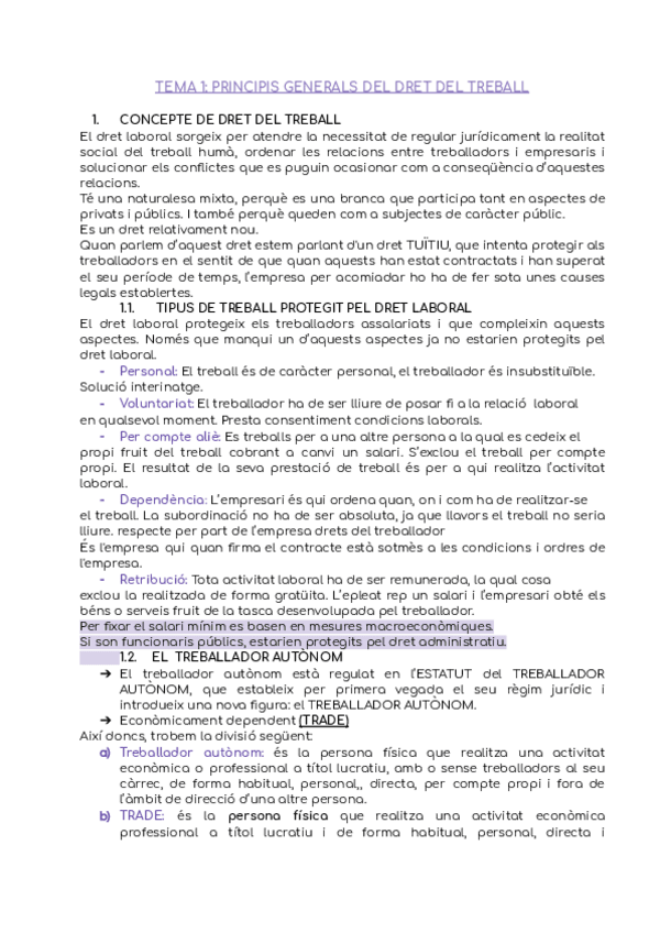 Miniatura del documento Dret-laboral.docx.pdf