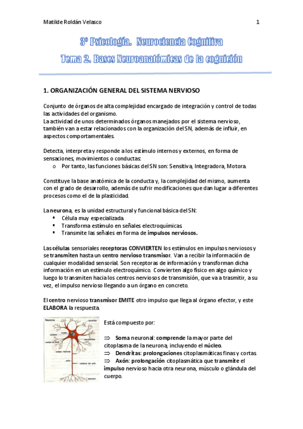 Miniatura del documento Tema-2.-Neurociencia-Cognitiva.pdf