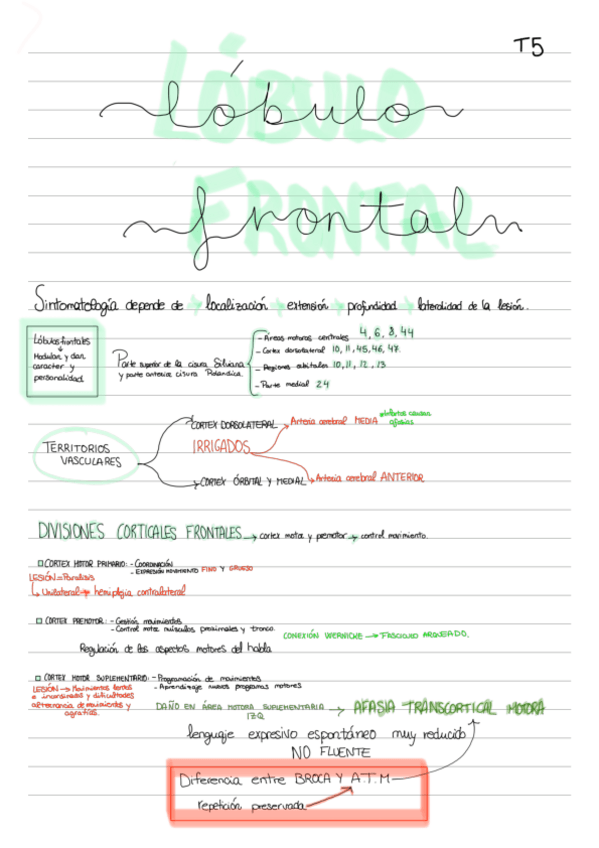 Miniatura del documento lobulo-frontal-resumen.pdf