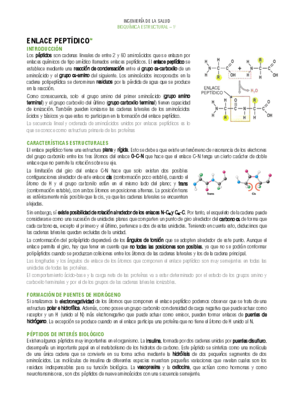Miniatura del documento resumen-enlace.peptidico-bq.pdf