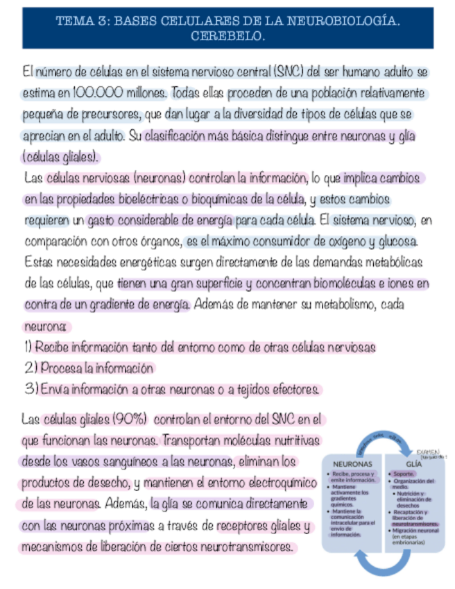 Miniatura del documento Tema-3-neurobiologia.pdf