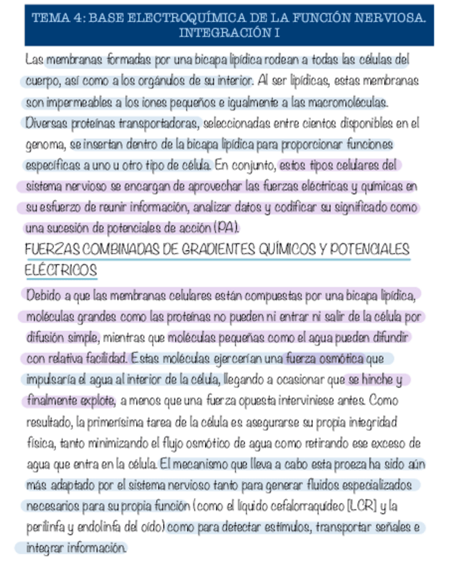 Miniatura del documento Tema-4-neurobiologia.pdf