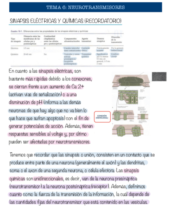 Miniatura del documento Tema-6-neurobiologia.pdf
