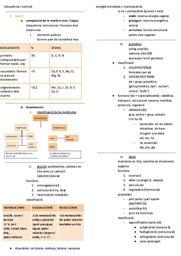 Miniatura del documento RESUM-TOT-bioquimica-i-nutricio.pdf