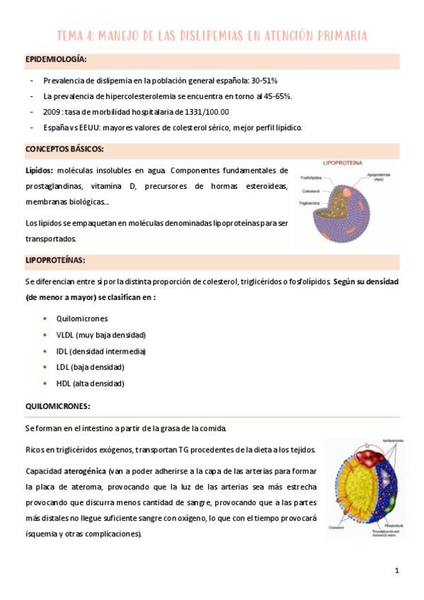 Miniatura del documento TEMA-4.pdf