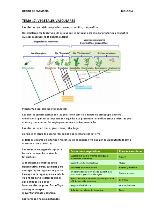 Miniatura del documento BIOLOGIA - TEMA 17.pdf