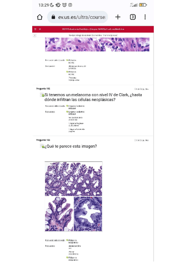 Miniatura del documento EXAMEN-FINAL-AP.-ENRIQUE-DE-ALAVA.-22/23.pdf