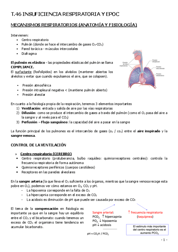 Miniatura del documento T46-INSUFICIENCIA-RESPIRATORIA-EPOC.pdf