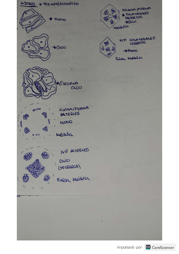 Miniatura del documento TEMA-3.1.pdf