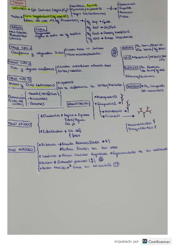 Miniatura del documento TALLOHOJAS.pdf