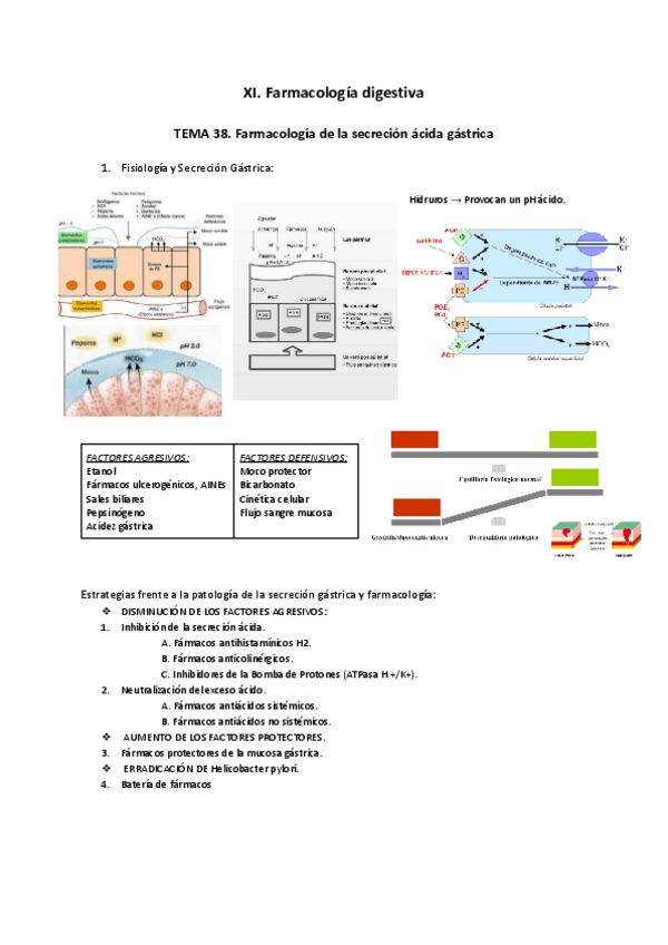 Miniatura del documento XI.pdf