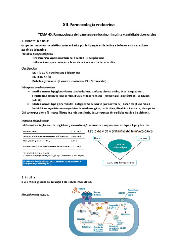 Miniatura del documento XII.pdf