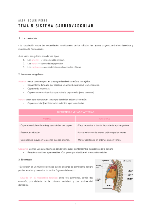 Miniatura del documento ANATOMIA-T.5.pdf