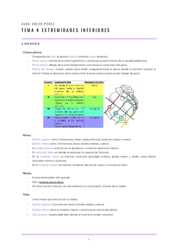 Miniatura del documento T.4-ANATOMIA.pdf