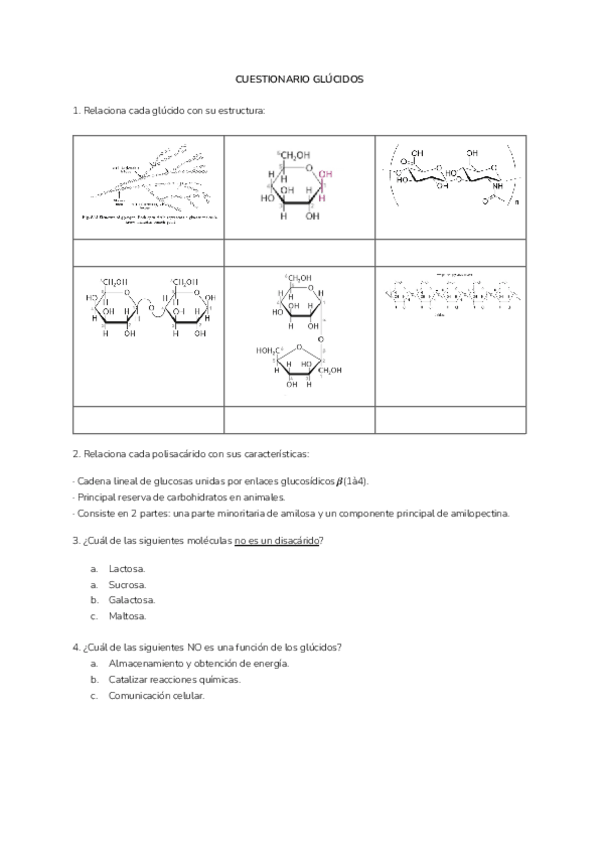 Miniatura del documento CUESTIONARIOS-BIOQUIMICA.pdf