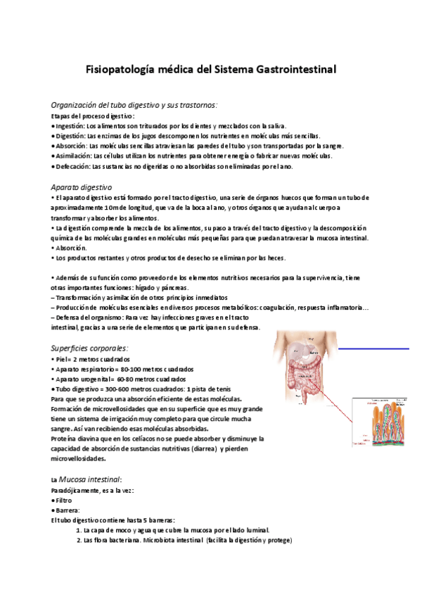 Miniatura del documento Sistema-Gastrointestinal.pdf