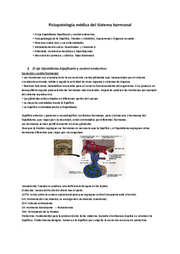 Miniatura del documento Sistema-hormonal.pdf