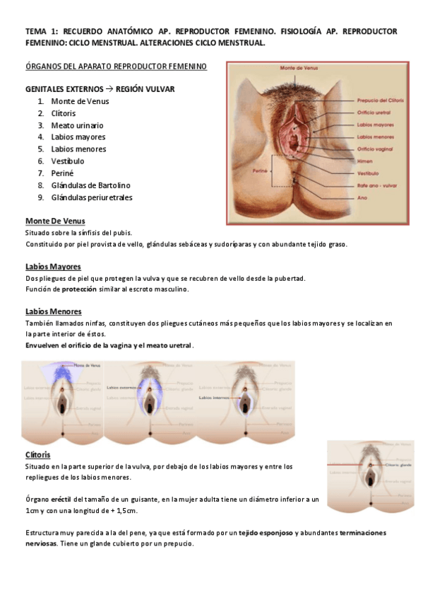 Miniatura del documento TEMA-123.pdf
