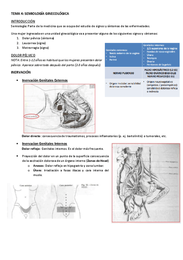 Miniatura del documento TEMA-4.-SEMIOLOGIA-GINECOLOGICA.pdf