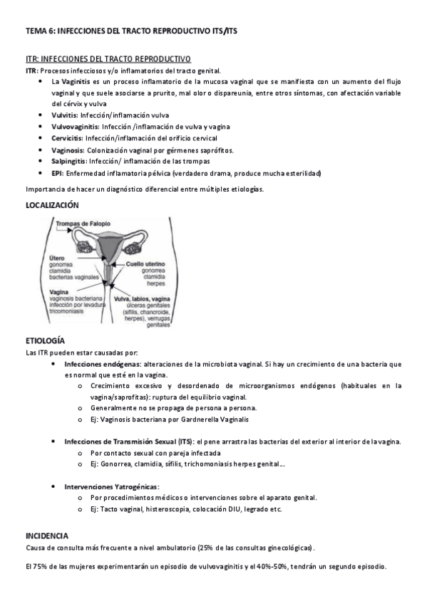 Miniatura del documento TEMA-6.-COMPLETO.pdf