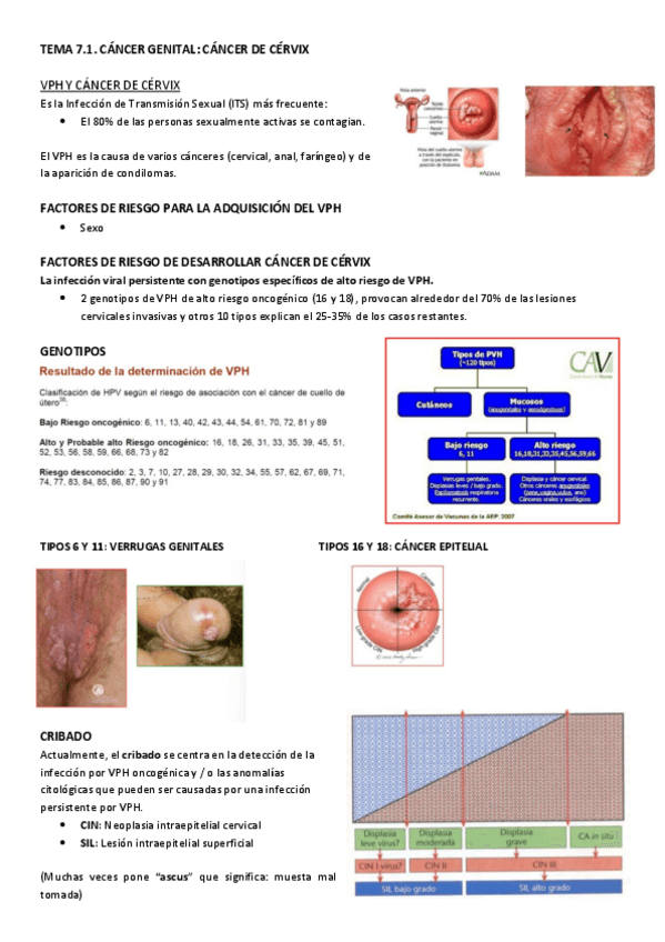 Miniatura del documento TEMA-7.1-CANCER-DE-CERVIX.pdf