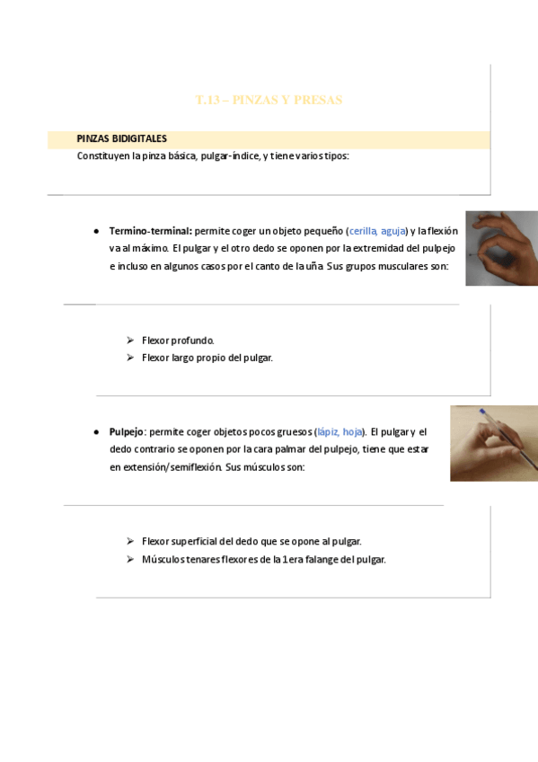 Miniatura del documento T13-Y-14.pdf