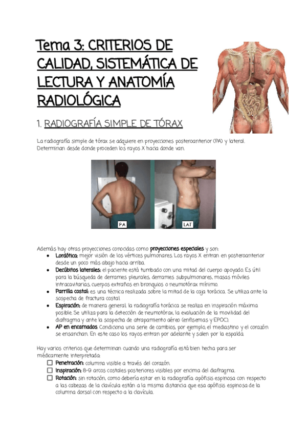 Miniatura del documento Tema-3.pdf