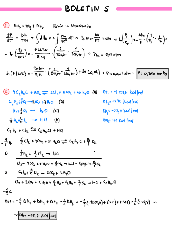 Miniatura del documento Boletin-5.pdf