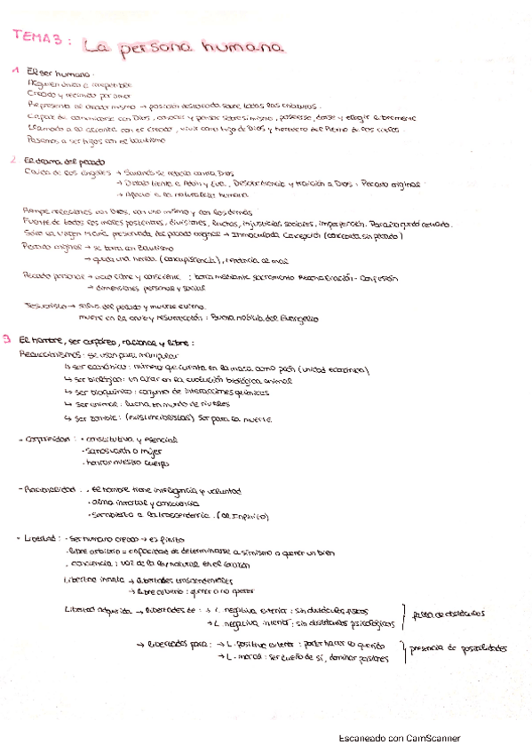 Miniatura del documento PSC-T3.pdf